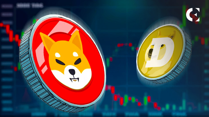 Doge錢包助記詞找回全攻略：追光者科技技術解析與安全指南